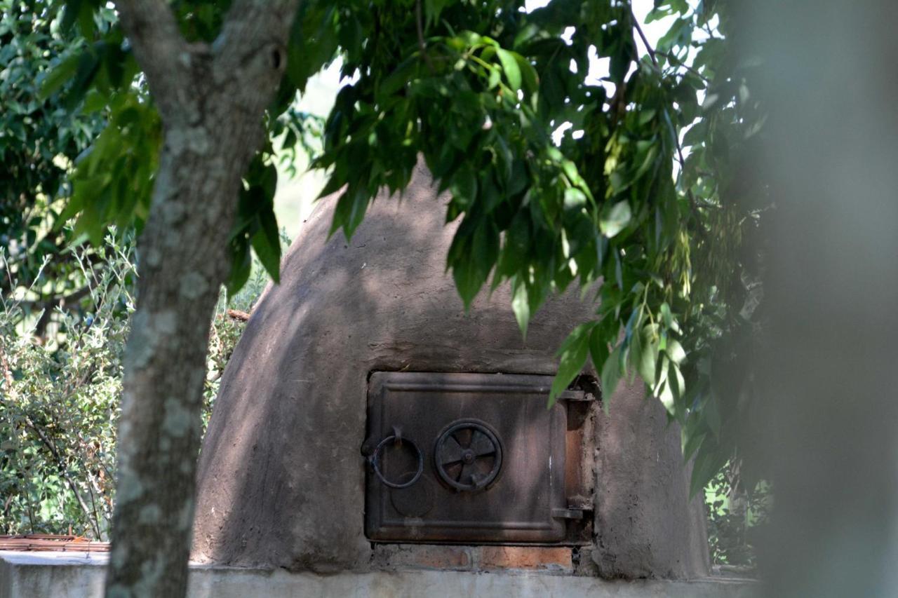 La Monturera, Loft De Campo Appartement Colonia del Sacramento Buitenkant foto